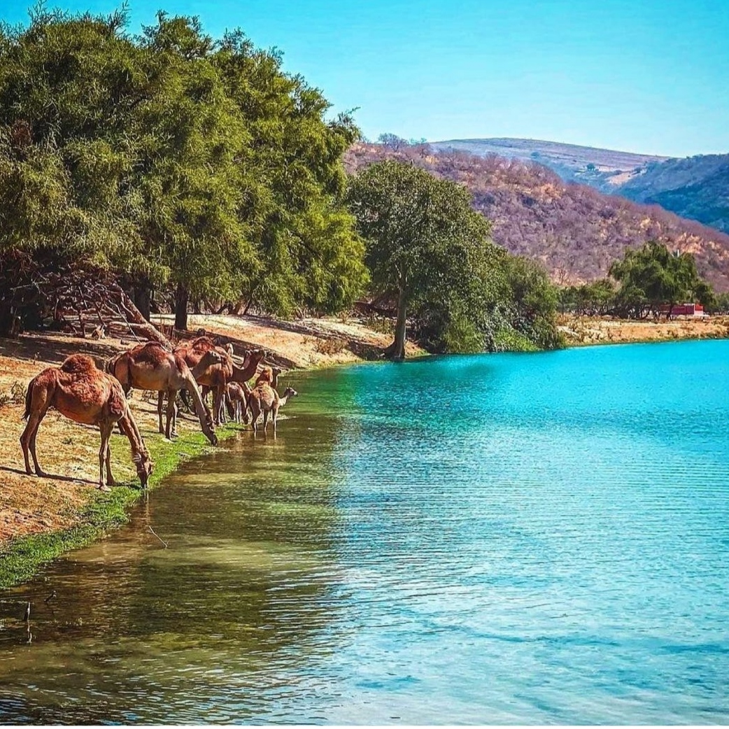 رفتی چرا ای بی وفا 